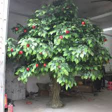 That's the picture of our mature apple tree. China Large Apple Tree Artificial Plant Simulation Fruit Tree Garden Orchard Forest Decoration China Artificial Plant And Artificial Flowers Price