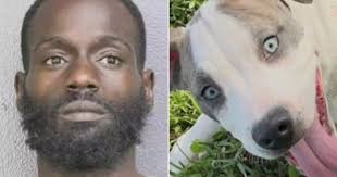 Justice for Jack, the baby beaten to death