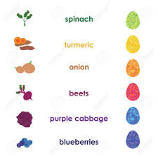 vector illustration of natural colorants for easter eggs in chart