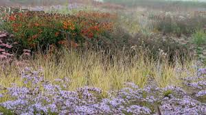 Piet Oudolf Documentary Teaser Piet Buchart Gardens Fall Winter Spring Summer