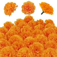 We did not find results for: Marigold Homegarden South Africa Buy Marigold Homegarden Online Wantitall
