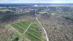 Po 8 latach ścieżka tornada wciąż jest widoczna, ale las zaczął się odradzać. Skutki Nawalnicy Bory Tucholskie Dron Tragedia Nie Ma Lasow Youtube