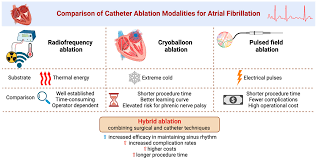 Image result for Ventricular Fibrillation Management in the Adult