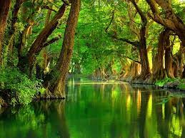 Camecuaro Nature Scenery Beautiful Nature