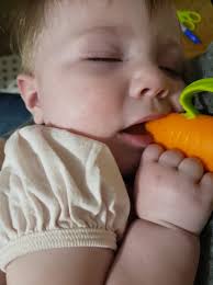 She's taking her Thanksgiving nap !!