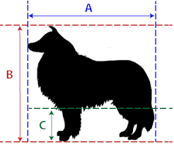 what is the right size pp airline approved carrier for my