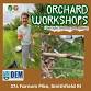 Orchard Care: Tree Crop Harvesting