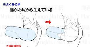 漫画素材工房 尻股間周りの描き方 違和感と修正法 漫画素材工房のイラスト pixiv 人の体のドローイング 漫画 絵の練習