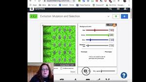 Natural and artificial selection vocabulary: Evolution Mutation Selection Gizmo Directions Youtube