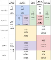 the no nonsense guide to polish possessive pronouns