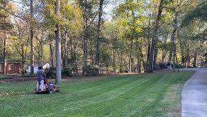 Explore other popular home services near you from over 7 million businesses with over 142 million reviews and opinions from yelpers. Lawn Mowing Service In Charlotte Reliable Grass Cutting
