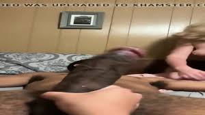 Lut Wife Cuckold With Monster BBC Form Chicago - EPORNER