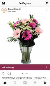 Bunga gerbera merupakan satu dari sekian banyak jenis tanaman hias yang asalnya dari luar negeri. Recommended Ini Dia Bunga Hias Gerbera Yang Cantik Dan Punya Makna Bagus Nursaidr