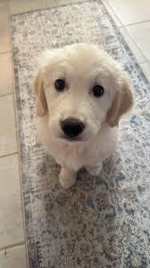 Melissa Nave's Instagram, Twitter & Facebook