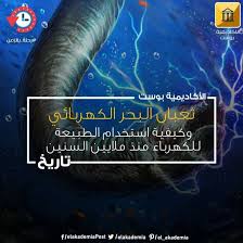 Pin On Photos From الأكاديمية بوست