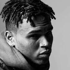 Fabulous Chris Brown Chris Brown Hair Dreads Styles 90s Hairstyles Men