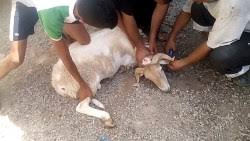 تفسير الطفل الرضيع في المنام لابن سيرين. ØªÙØ³ÙŠØ± Ø­Ù„Ù… Ø­Ù…Ù„ Ø§Ù„Ù‚Ø±Ø¢Ù† Ø§Ù„ÙƒØ±ÙŠÙ… Ø¨Ø§Ù„ÙŠØ¯ ÙÙŠ Ø§Ù„Ù…Ù†Ø§Ù…