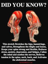 Since they are so little and convenient, resistance bands are an extraordinary method to take your exercise with you when you travel. Pin On Suzanne