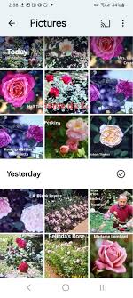 Alan Brandes (@BrandesAlan)