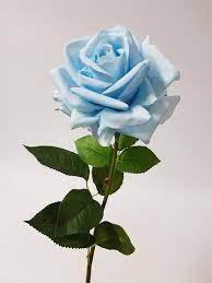Check spelling or type a new query. Artificial Rose Anna Baby Blue 75cm Desflora