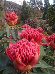 Pin On Gardens Of The World