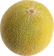 Melon Png Alpha Channel Clipart Images Pictures With Transparent Background Free Downloading 889 transparent png illustrations and cipart matching cantaloupe. melon png alpha channel clipart images