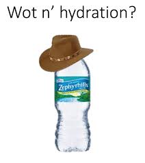 Image result for wot in tarnation
