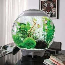 Biorb Moorwood Ornament Aquarium Artificial Plants Brown M Aquarium Design Cool Fish Tanks Diy Aquarium