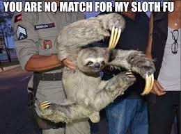 018 Funny Captions 017 Sloth You Are No Match For My Sloth Fu Jpg 600 446 Pixels Sloths Funny Funny Animals Animal Captions