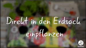 Anzeige I Direkt In Den Erdsack Einpflanzen Video Anleitung Kein Platz Fur Grosse Blumentopfe Auf Dem Kleinen Ba Gartnern Auf Kleinem Raum Blumenerde Pflanzen