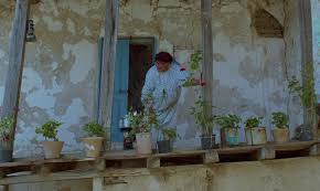 Through the olive trees kiarostami. Through The Olive Trees 1994 Yify Download Movie Torrent Yts