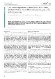 Image result for Adenostemma afrum