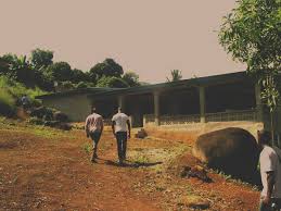 Timeline — KEEP IT FAX