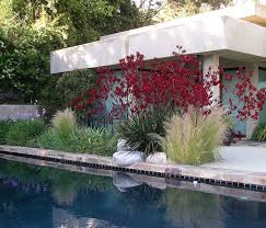 Welcome to lawn care carmel! Plants For Landscaping Landscaping Network