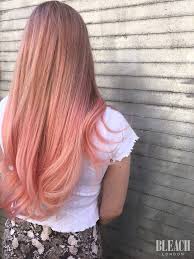 Rose Toner Kit Bleach London Pink Hair Toner Light Blonde Hair Light Brown Hair