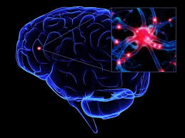 La esclerosis lateral amiotrófica (ela) es una enfermedad degenerativa de tipo neuromuscular. Crean Una Aplicacion Para Mejorar La Comunicacion De Pacientes Con Ela