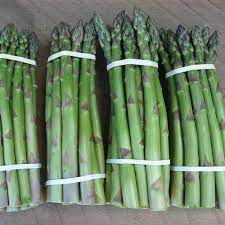 Guelph Eclipse Asparagus Asparagus Asparagus Seeds Asparagus Spears