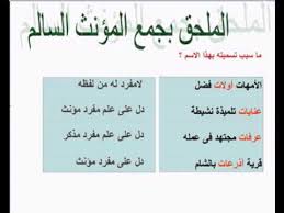 شرح درس جمع المؤنث السالم Ù…Ø§ ÙŠÙ„Ø­Ù‚ Ø¨Ø¬Ù…Ø¹ Ø§Ù„Ù…Ø¤Ù†Ø« Ø§Ù„Ø³Ø§Ù„Ù… Ø¨Ø§Ù„Ø£Ù…Ø«Ù„Ø© Ø§Ù„Ù…Ø±Ø³Ø§Ù„