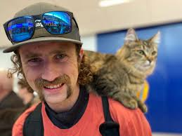 Fundraiser by Heather Hendricks : Hit & Run: Please HELP Aurora Beat the  Odds!!!