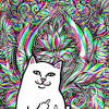 Best psychedelic and trippy backgrounds hd, to use as a wallpaper for desktop, mac 2021. Https Encrypted Tbn0 Gstatic Com Images Q Tbn And9gcrshjxiyzt5ght69689kjadbfqaqtb Ia4jsyux Rna1edvpmin Usqp Cau