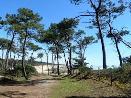 Jard Sur Mer Jard Sur Mer Vacances Vendee Vendee