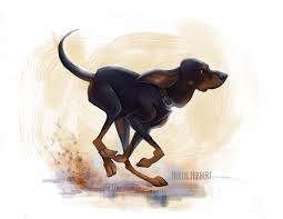 Black And Tan Coonhound For Sale In Michigan Pin On Sayings And Pictures