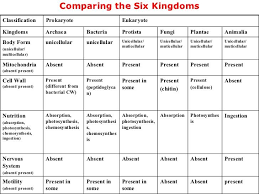 Fungi Characteristics Chart Google Search Worksheets