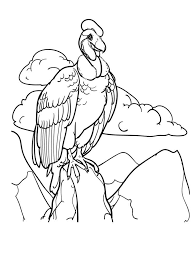 Pdf file includes please read the entire page carefully before you buy! Vulture Coloring Pages Download And Print Vulture Coloring Pages