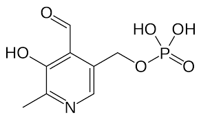 Constipation is not considered to be one of the side effects of a vitamin b6 supplement. Vitamin B6 Wikipedia