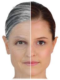 Голова, шея и нейроанатомия