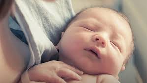 The Iconic Easter Florence Rocket Dove Back For 2023