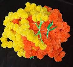 Get deals with coupon and discount code! Buycrafty 10 Pack Yellow Orange Artificial Marigold Flower Garlands 5 Ft Long For Use In Parties Celebrations Indian Weddings Indian Themed Event Decorations House Buy Online In United Arab Emirates At Desertcart 83001532