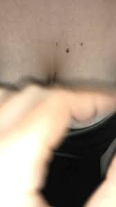 French milf amateur solo amateur. Best Amateur Natural Tits Solo Amateur Search Results Juicygif Com