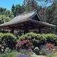 Simplicity: A Daylong Retreat